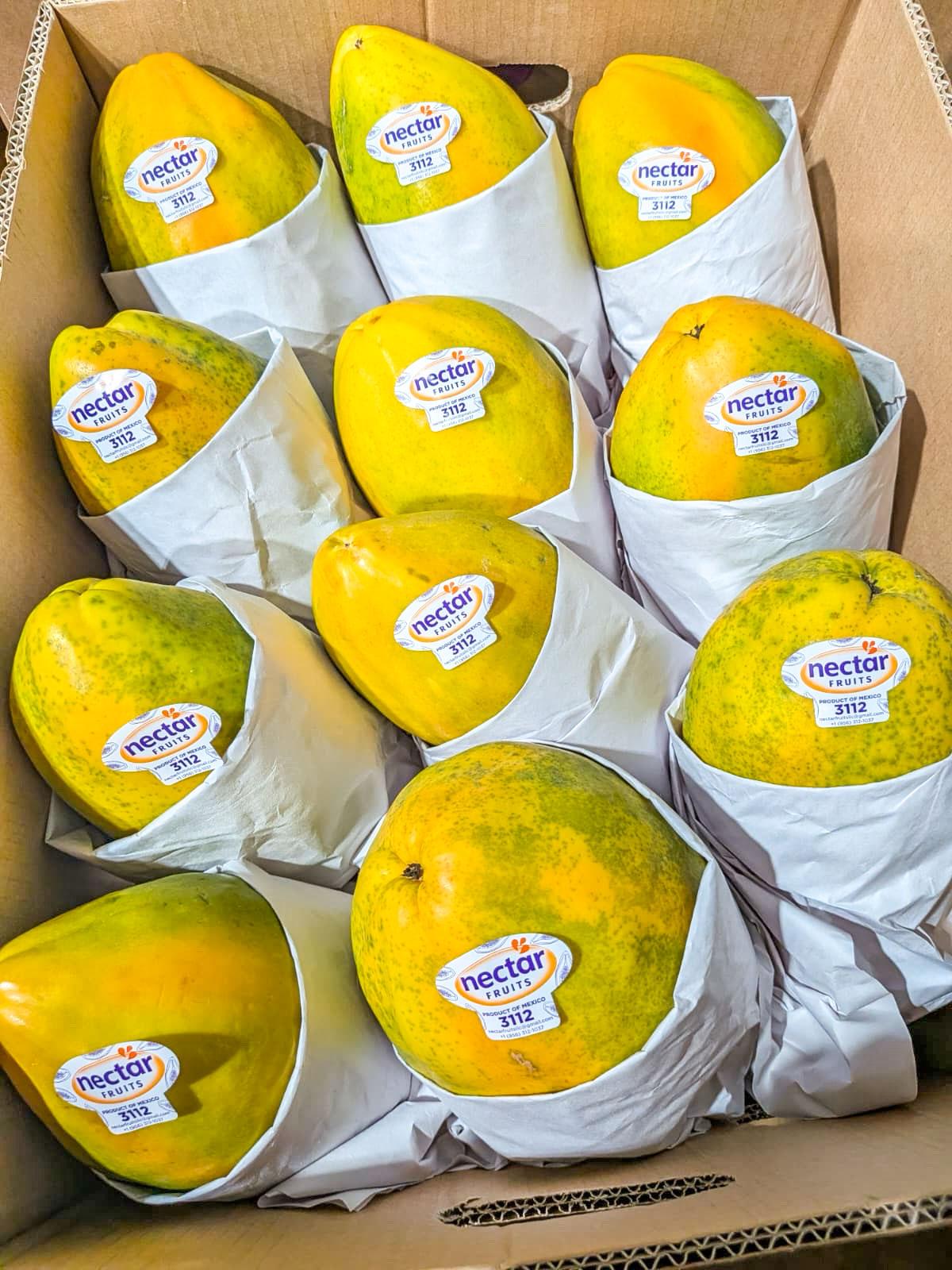 Nectar Fruits papaya packed, labeled, and graded for export